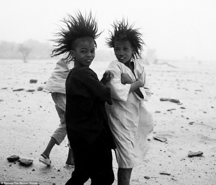 #Tuareg