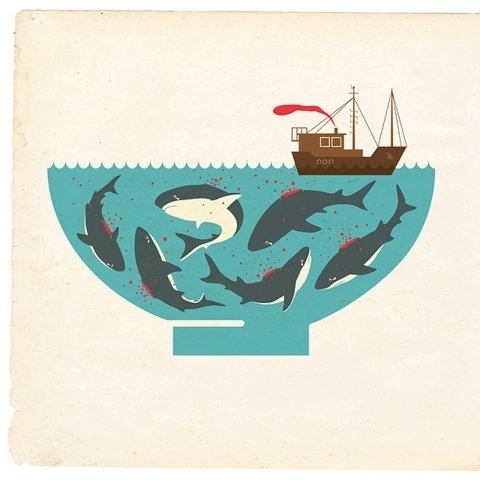 FFFFOUND! #illustration