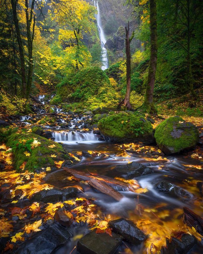 #longexpoelite: Wonderful Oregon's Nature Landscapes by Steve Schwindt