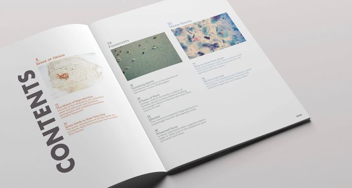 Image result for pagination magazine