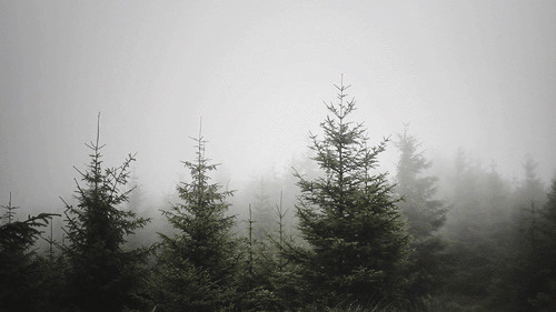 #cinemagraph