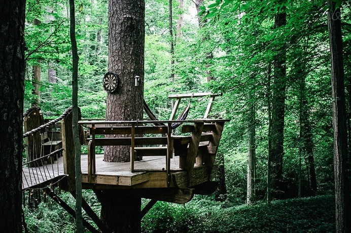 TREEHOUSE TRIO