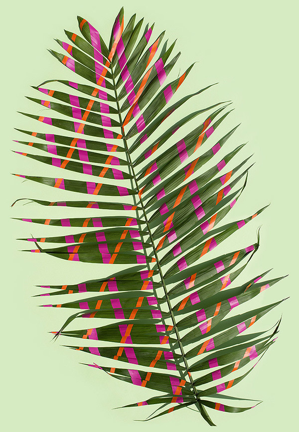 Sarah Illenberger | PICDIT
