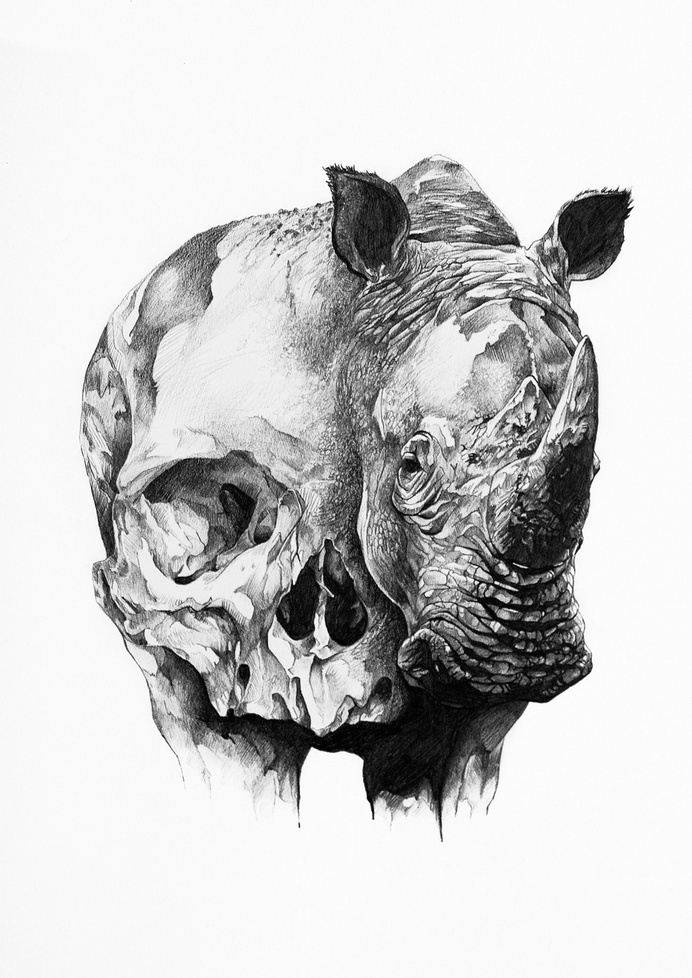 Ivan kamargio illustration #white #black #illustration #and #animals #skull