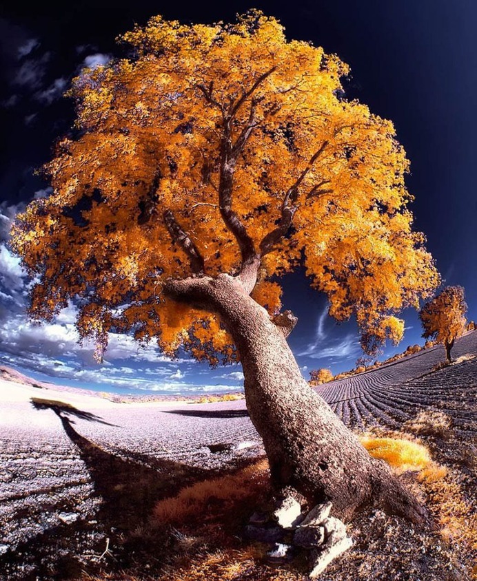 Beautiful Infrared Landscape Photography by Marta Borreguero
