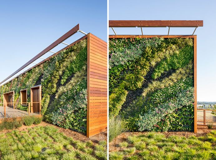 bcv architects bay meadows visitor center designboom #wall #planted