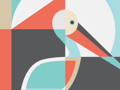 Australian Pelican