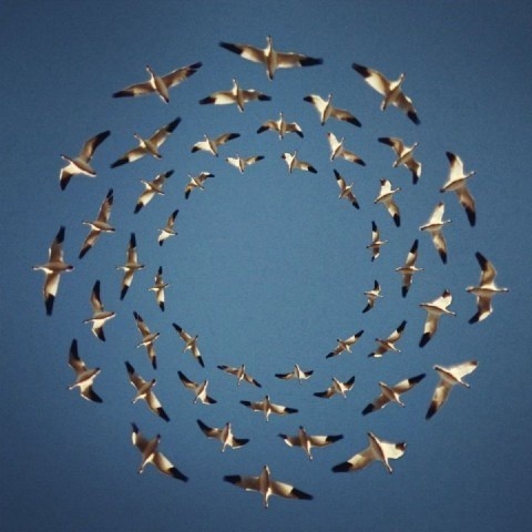 Shaun Kardinal | PICDIT #photo #photography #blue #collage