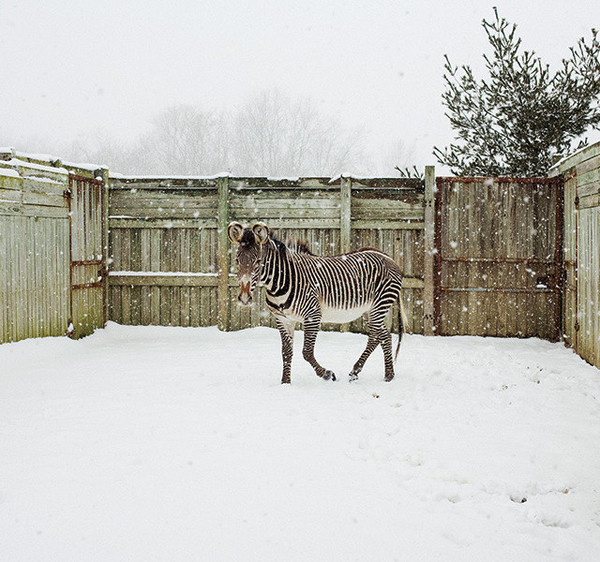 The Invisible Yoke by Matt Eich #inspration #photography #art