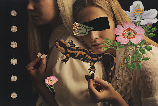 Magdalena Franczuk & Ashkan Honarvar | PICDIT #photo #collage #design #art