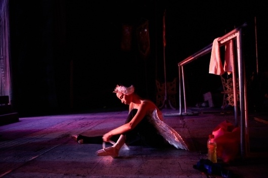 mg_4994.jpg (JPEG Image, 735x490 pixels) #lake #cuba #ballet #swan