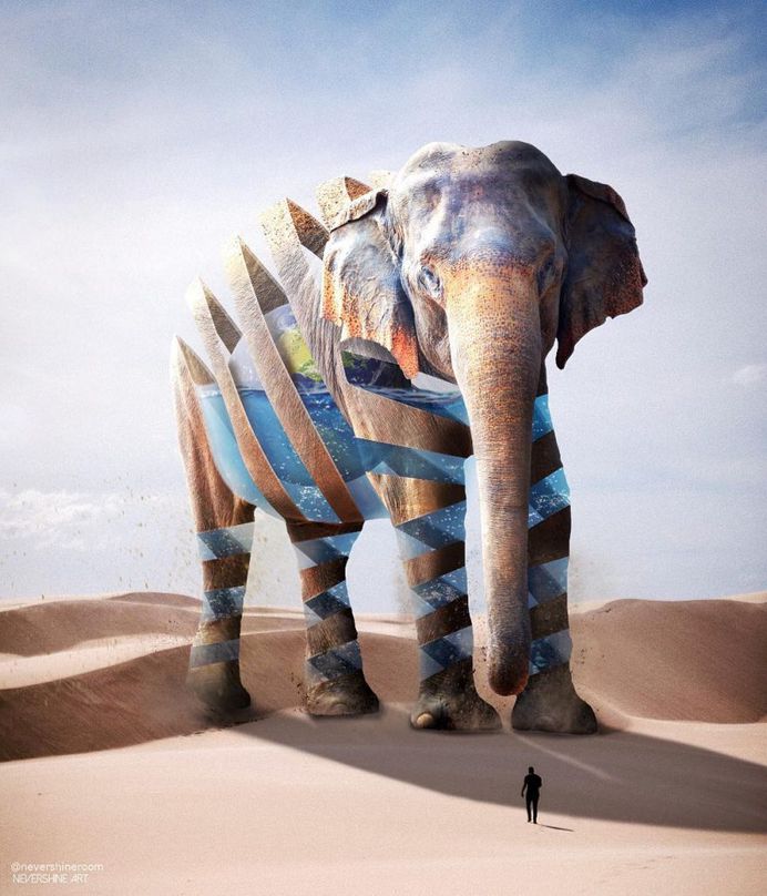 Dreamlike Animals: Mischievous Photo Manipulations by Ade Maolana
