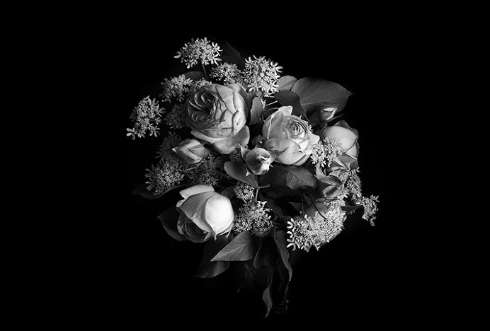 Vega & Vega by Menta . #mark #nature #flowers #blackandwhite #photography