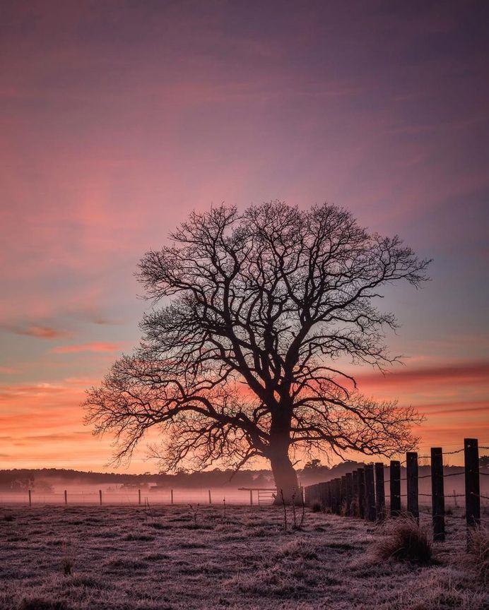#newsouthwales: Beautiful Landscape Photography by James Blakeney