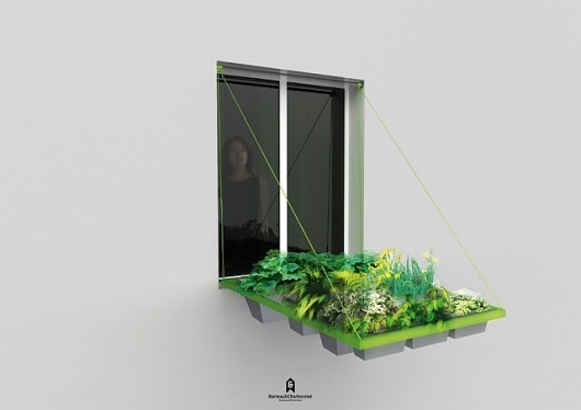 Green Window For Urban Residences | DZine Trip #urban #window #plant #green