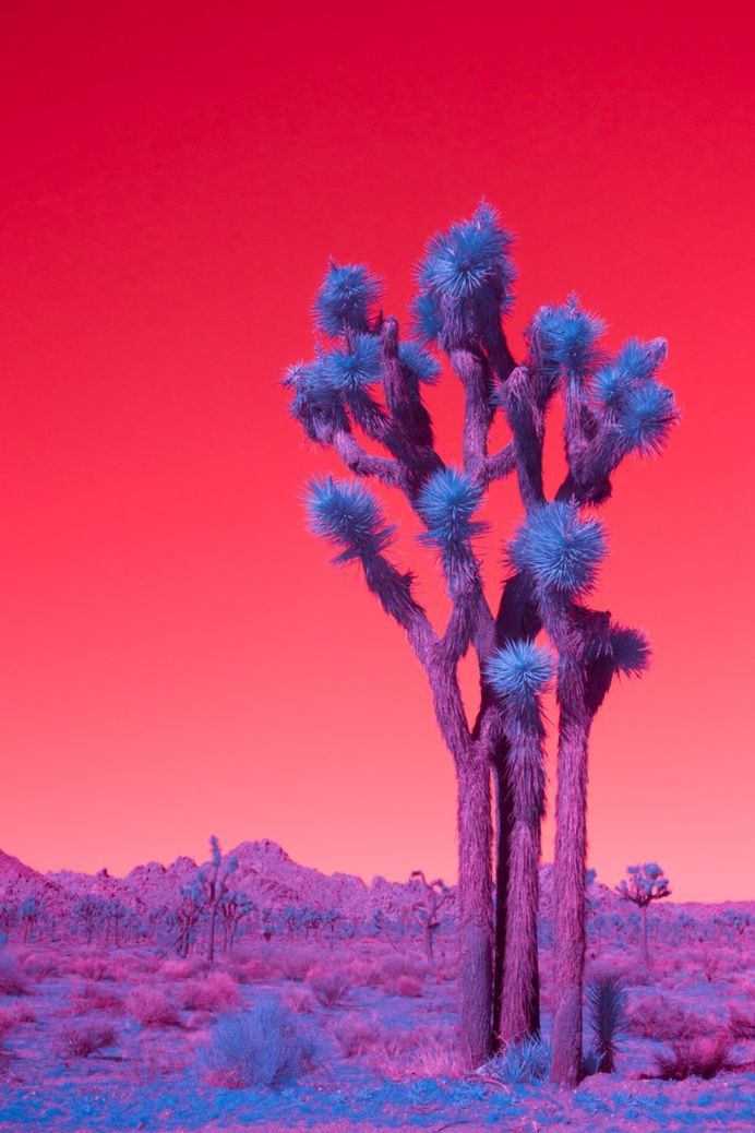 Kate Ballis' 'Infra Realism' photo series