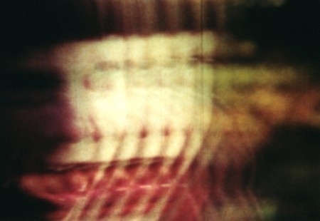 Search results for #jason #cawood #photography