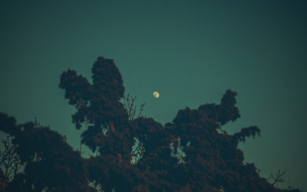 Goodbye Supermoon #sweden #super #gteborg #landscape #night #gothenburg #trees #moon