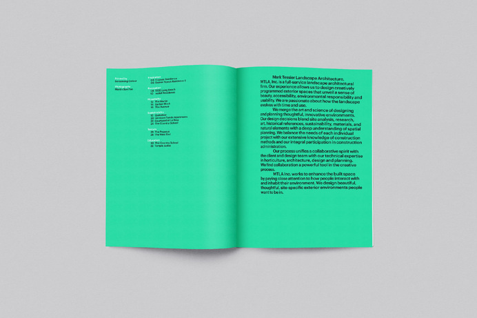 Hype Type Studio / Mark Tessier Landscape Architects #type #print #layout