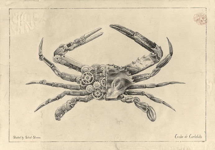 Biomechanical Pencil Drawings of Crustaceans by Steeven Salvat