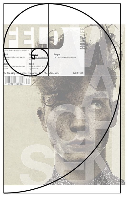 What Is The Golden Ratio? What You Need to Know and How To Use It