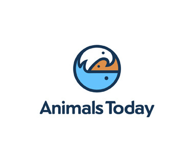 Logomotive, a Custom Logo Design Company #logotype #identity #branding