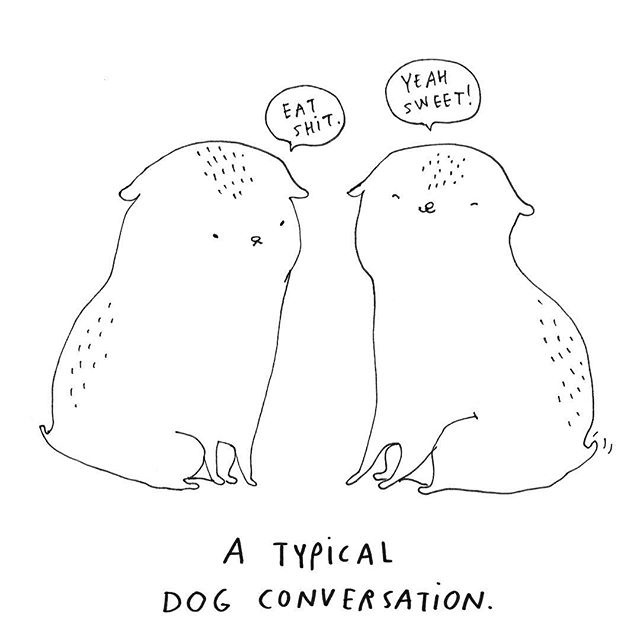 animal, line illustrations