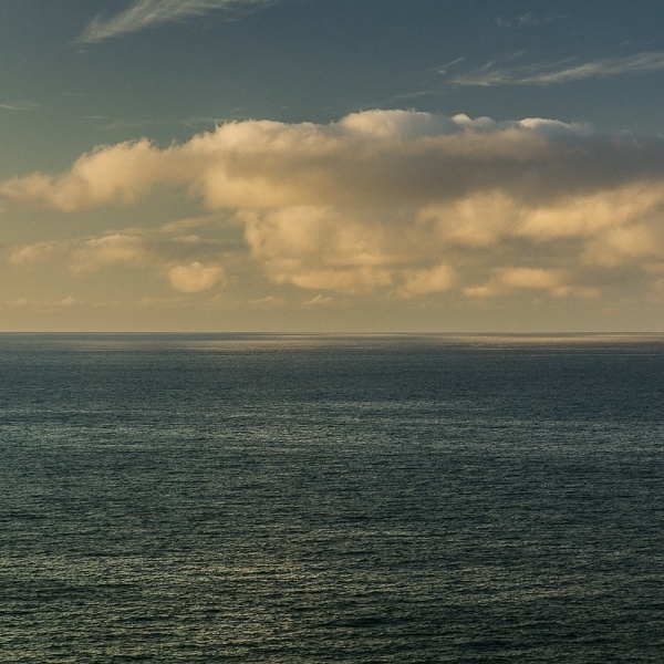 two halves #foto #photography #twohalves #art