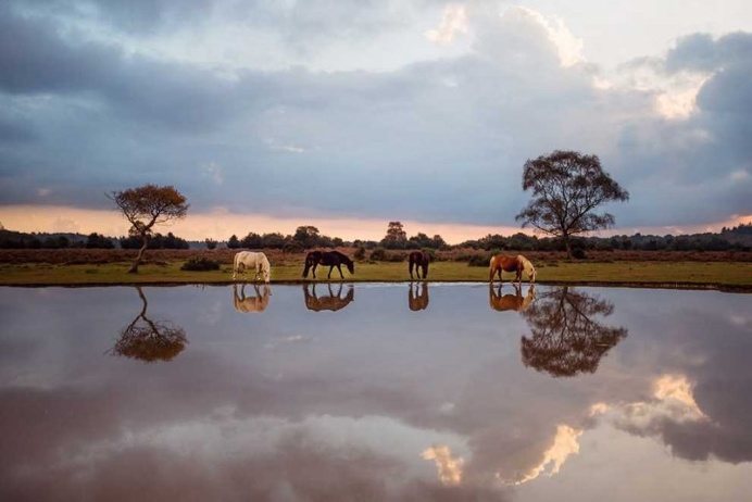 Stunning Finalists of National Geographic Traveller UK 2017 Awards
