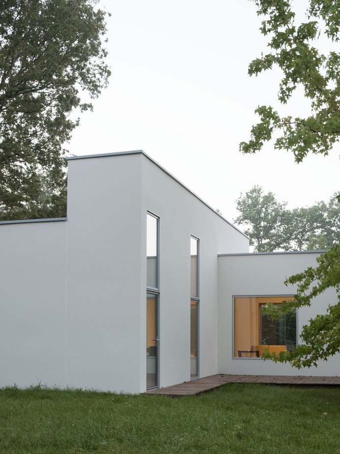 House Around the Tree by Figura