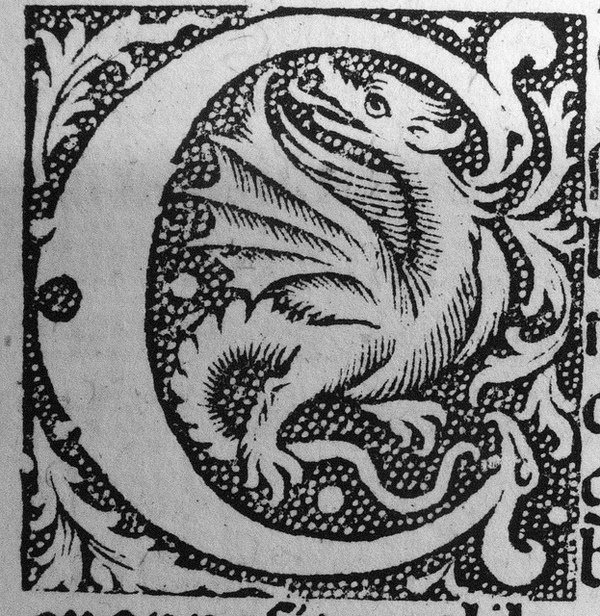 dragon c