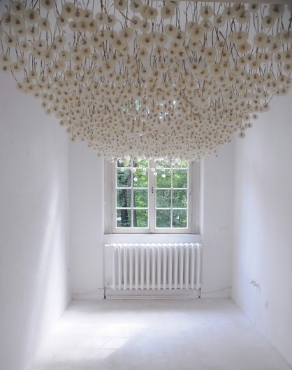 2,000 Suspended Dandelions by Regine Ramseier | Colossal #dandelions #installation