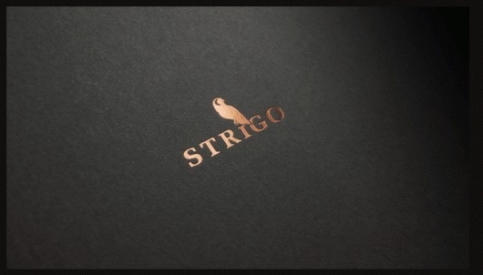 etcorporate Designagentur München. Strigo Corporate Design #logo