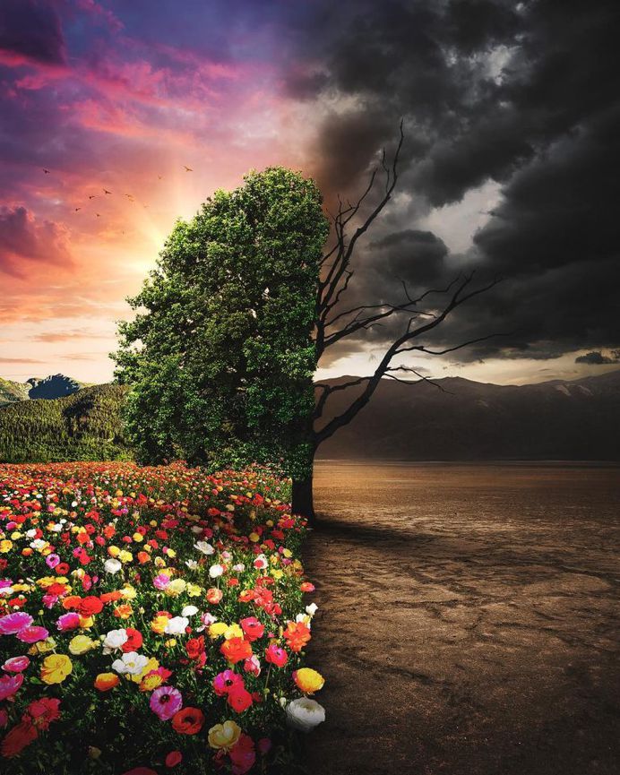 Gorgeous and Dreamful Photo Manipulations by Wesley Grim