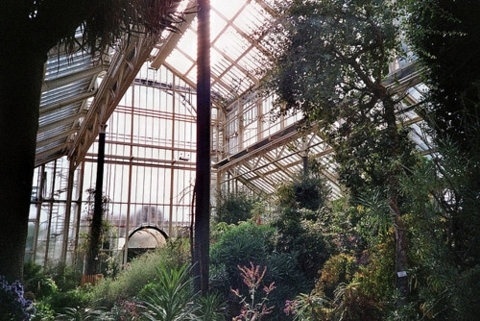 FFFFOUND! | nonclickableitem #plants