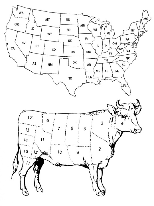 Americow | Dan Bina #america #cow #beef #sections #states #usa #ink #drawing #art #dan bina