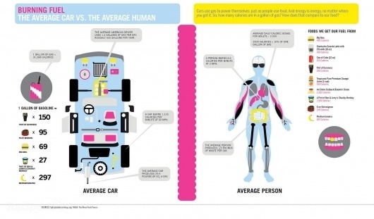 comparing-the-fuel-c_1600x0w.jpg (1600×939) #human #infographic #car