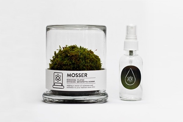 MOSSER #logo #brand #terrarium #mosser