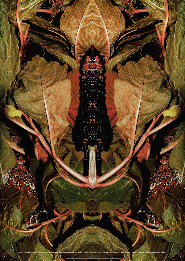 Limited Edition Print by Pale Grain #print #palegrain #nature #poster #death #life #plant