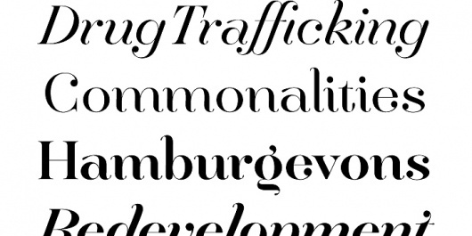 Hera Big - Webfont & Desktop font « MyFonts #type #bodoni
