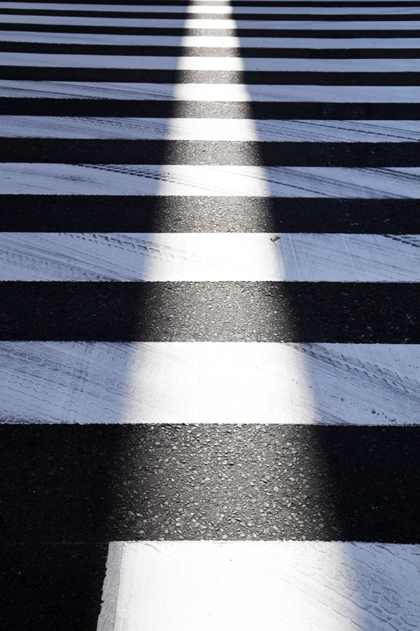 Yoshinori Mizutani | PICDIT