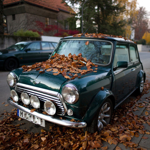 GtheGentleman #mini