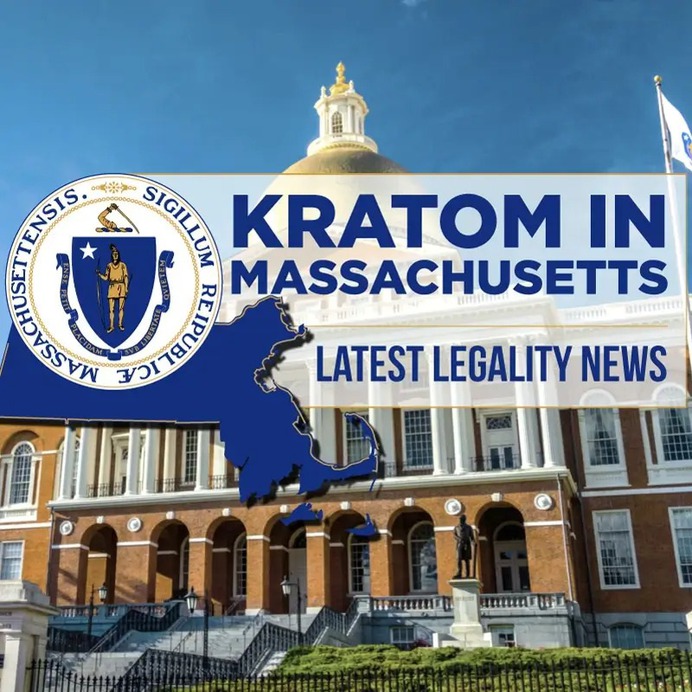 🌿 Discover the intriguing journey of kratom's legality in Massachusetts, one of the most populous and influential states in the US. Stay informed about the latest developments in our comprehensive article that explores the complex legal landscape surrounding this natural herb. From proposed bans to ongoing debates, we delve into the evolving stance on kratom, shedding light on its potential benefits and risks. Stay updated and be a part of the conversation.
