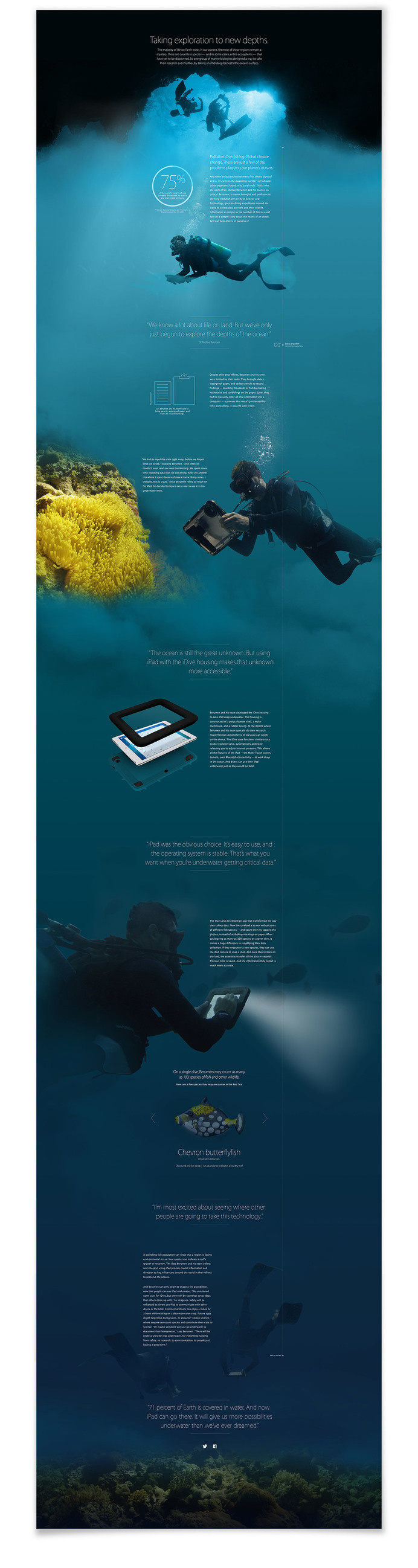 Mar Cubillos — Pixel Swell #site #design #web #diving