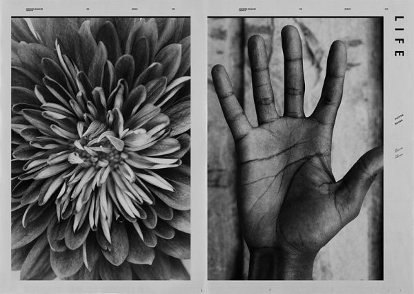 - NEWWORK MAGAZINE ISSUE Nº3 - #photography