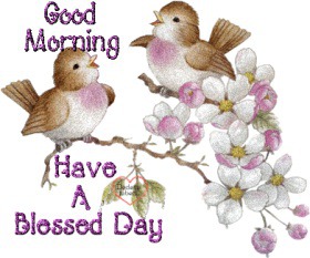 - Good Morning