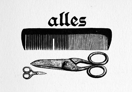 Miss Moss : alles #illustration