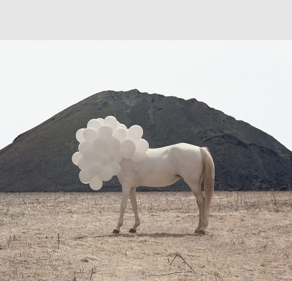 www.andreagalvani.com #an #of #image #andrea #death #galvani