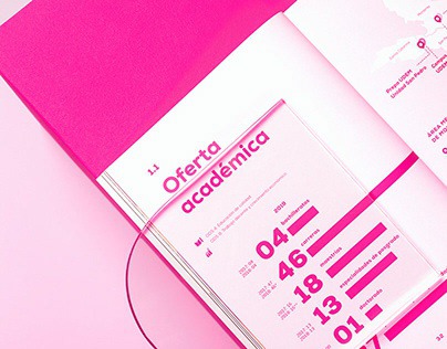 Annual Report UDEM 2019