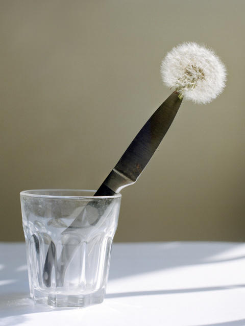 Bridget Collins | PICDIT #photo #photography